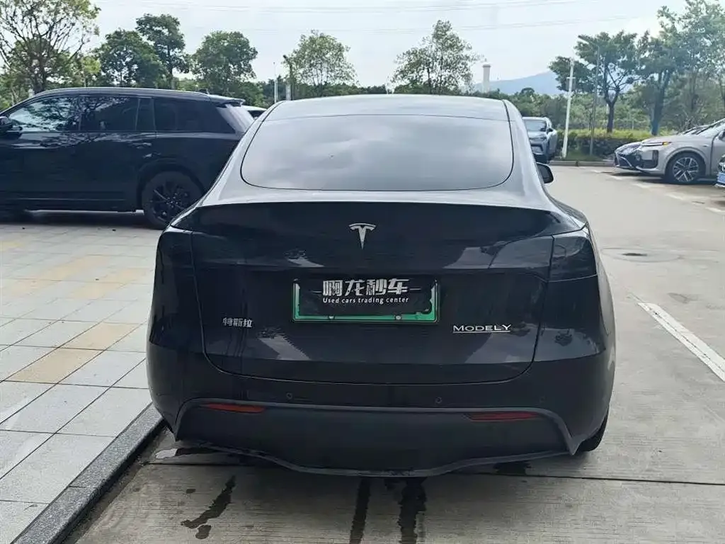 Tesla Model Y — фото 6