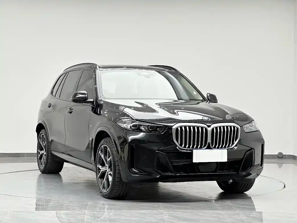 BMW X5 — фото 9