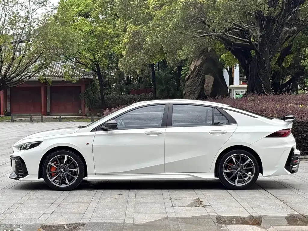 GAC Motor Shadow Leopard — фото 9