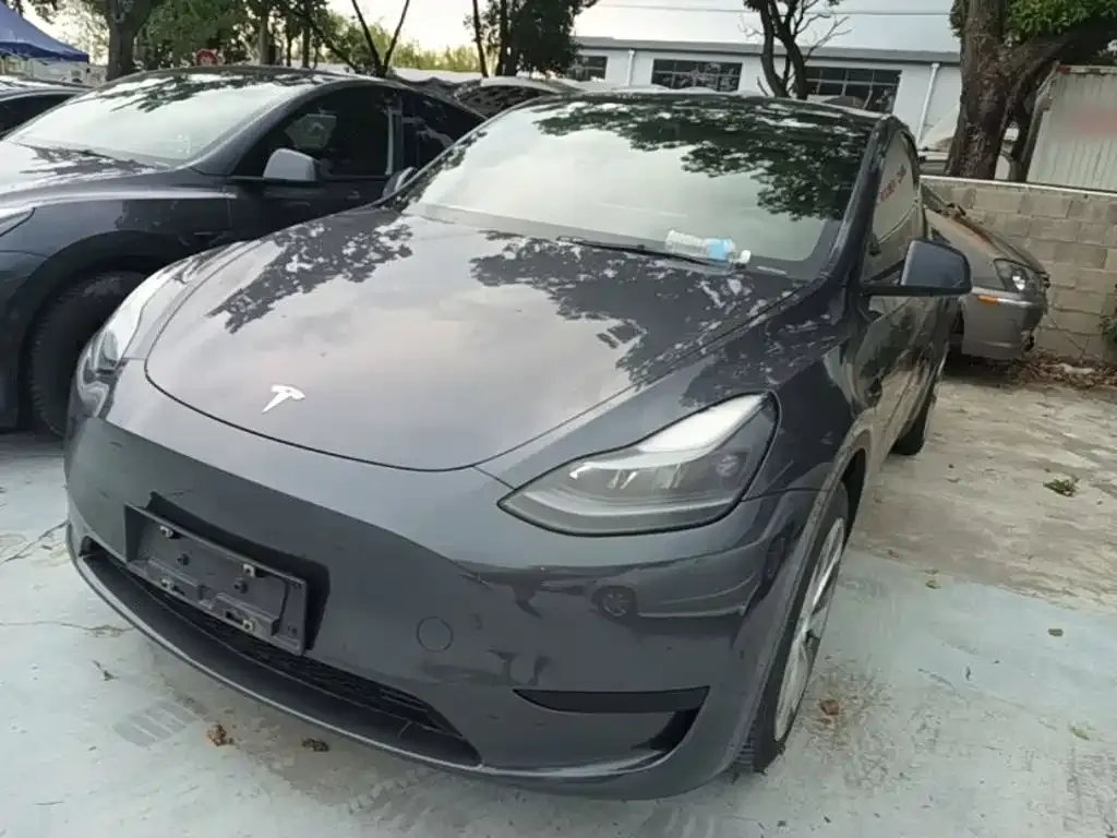 Tesla Model Y — фото 10