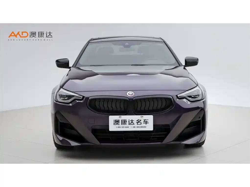 BMW 2 Series (Import) — фото 10