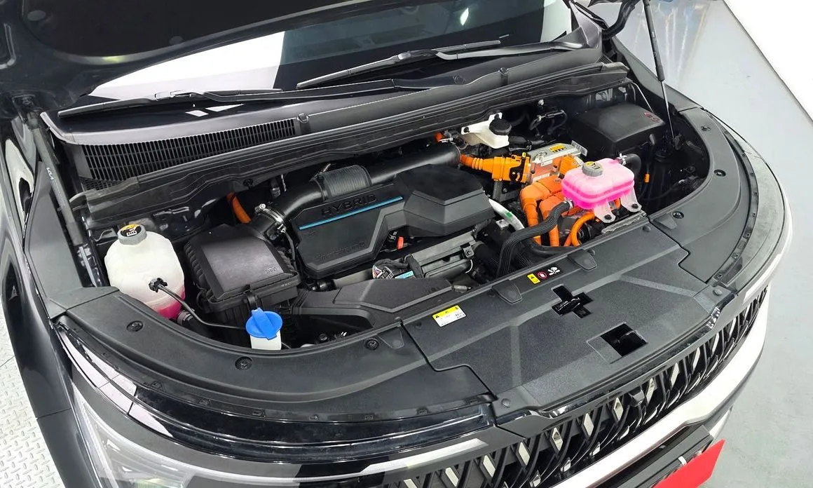 Kia Carnival — фото 10