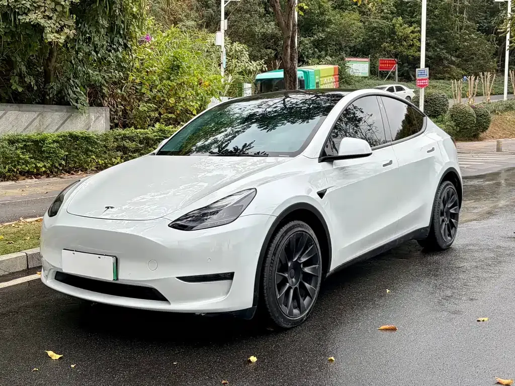 Tesla Model Y — фото 1
