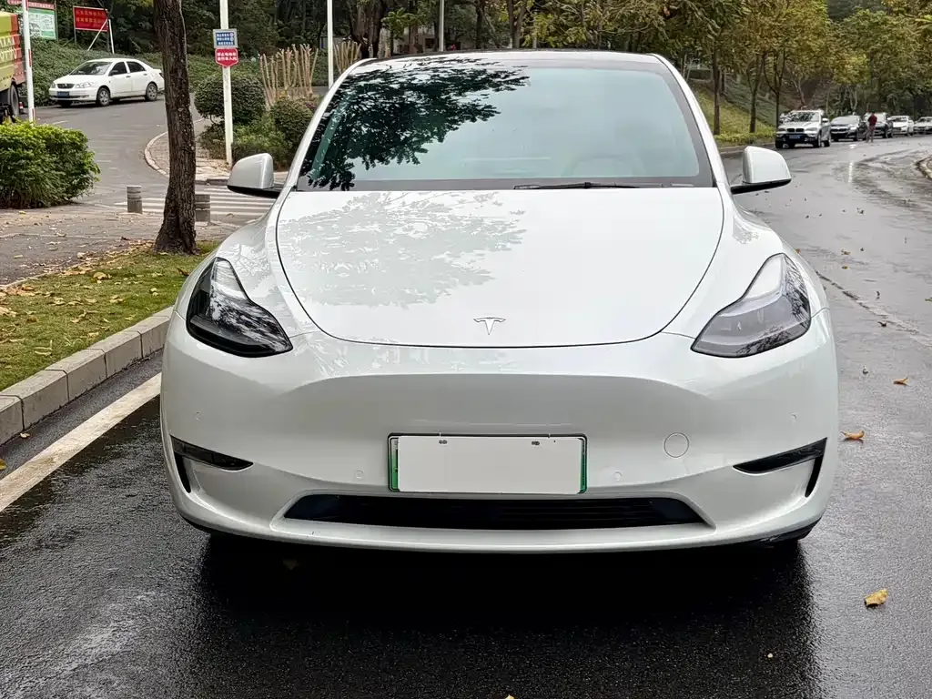 Tesla Model Y — фото 5