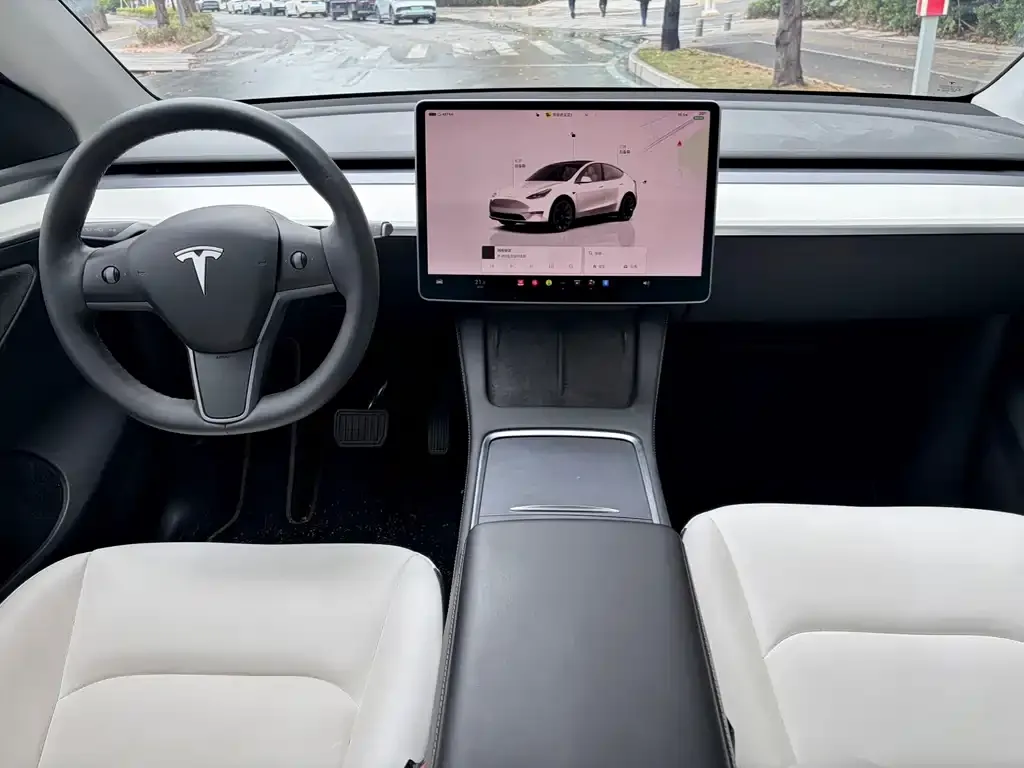 Tesla Model Y — фото 6