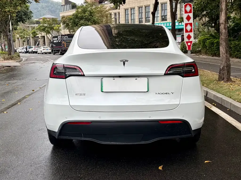 Tesla Model Y — фото 9