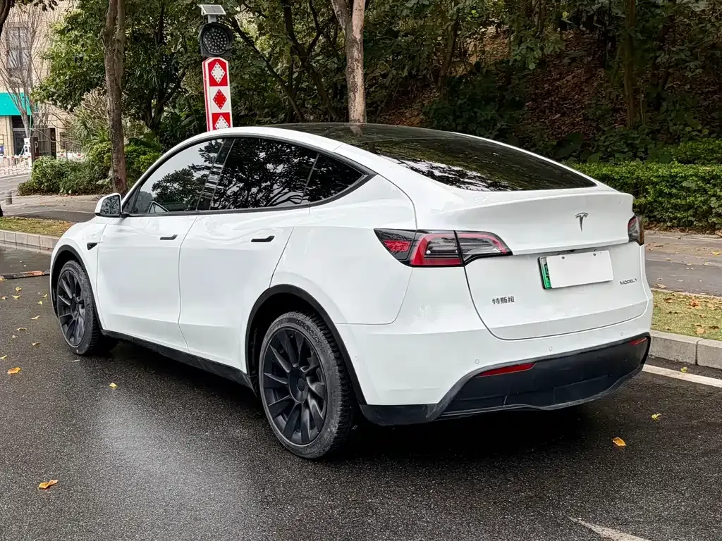 Tesla Model Y — фото 8