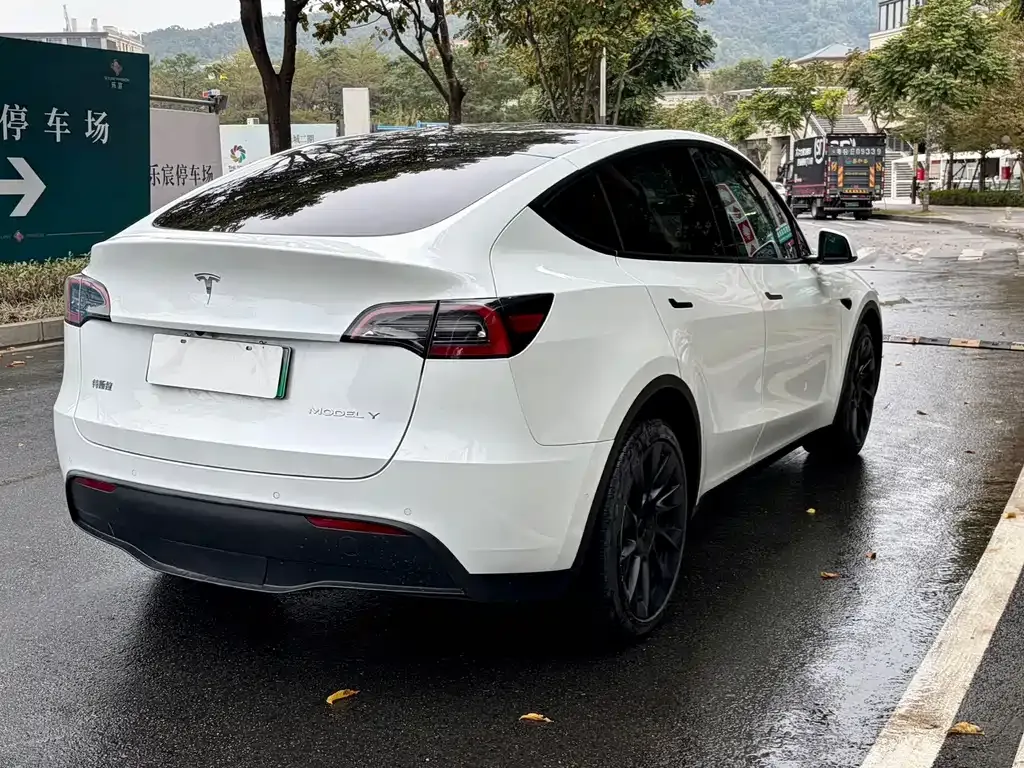 Tesla Model Y — фото 10
