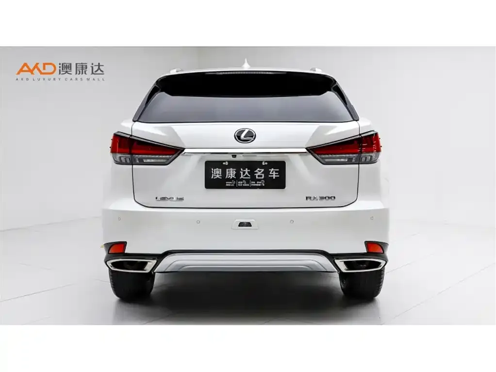 Lexus RX — фото 5