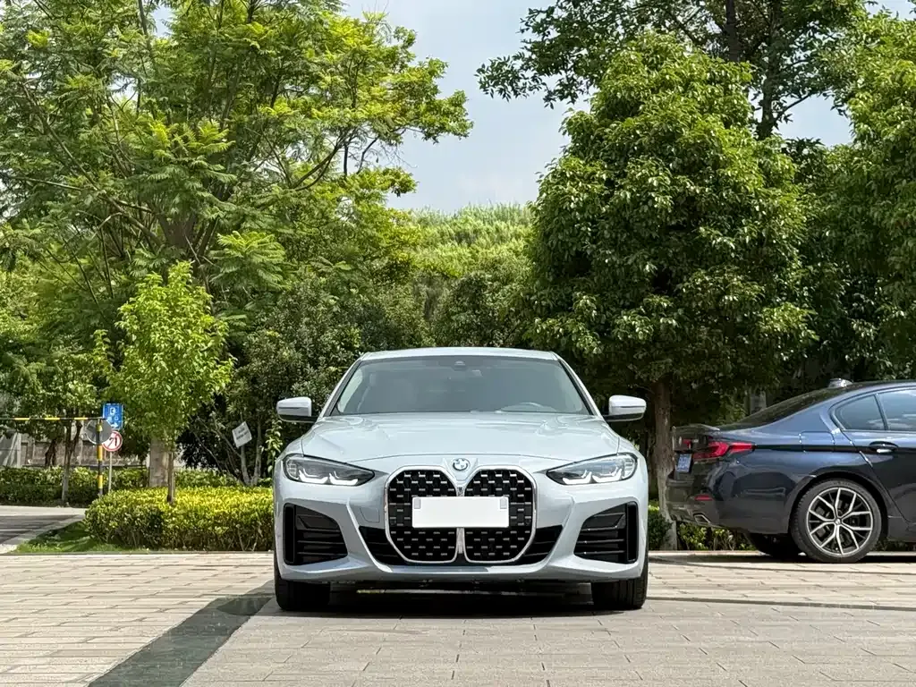 BMW 4 Series — фото 10