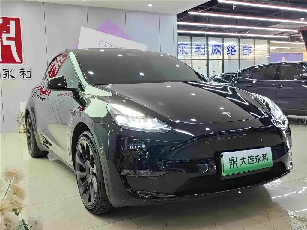 Tesla Model Y — фото 10