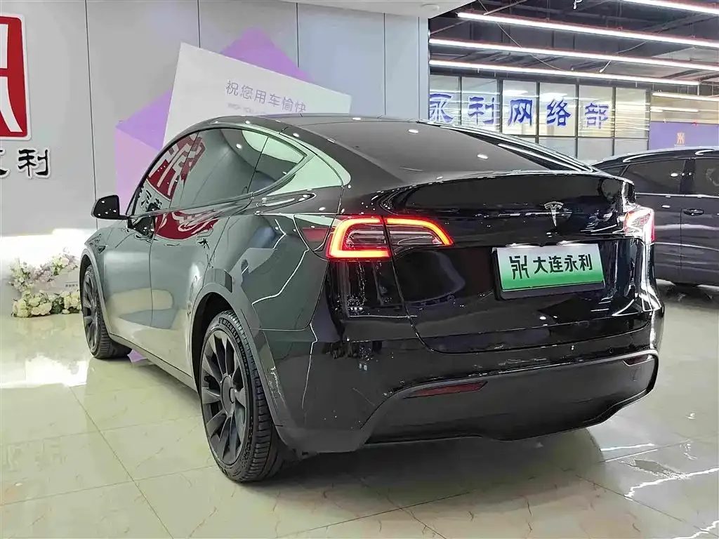 Tesla Model Y — фото 9