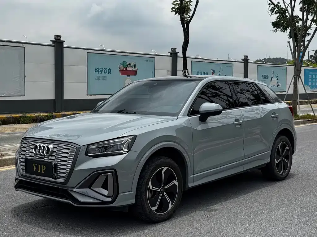 Audi Q2L e-tron