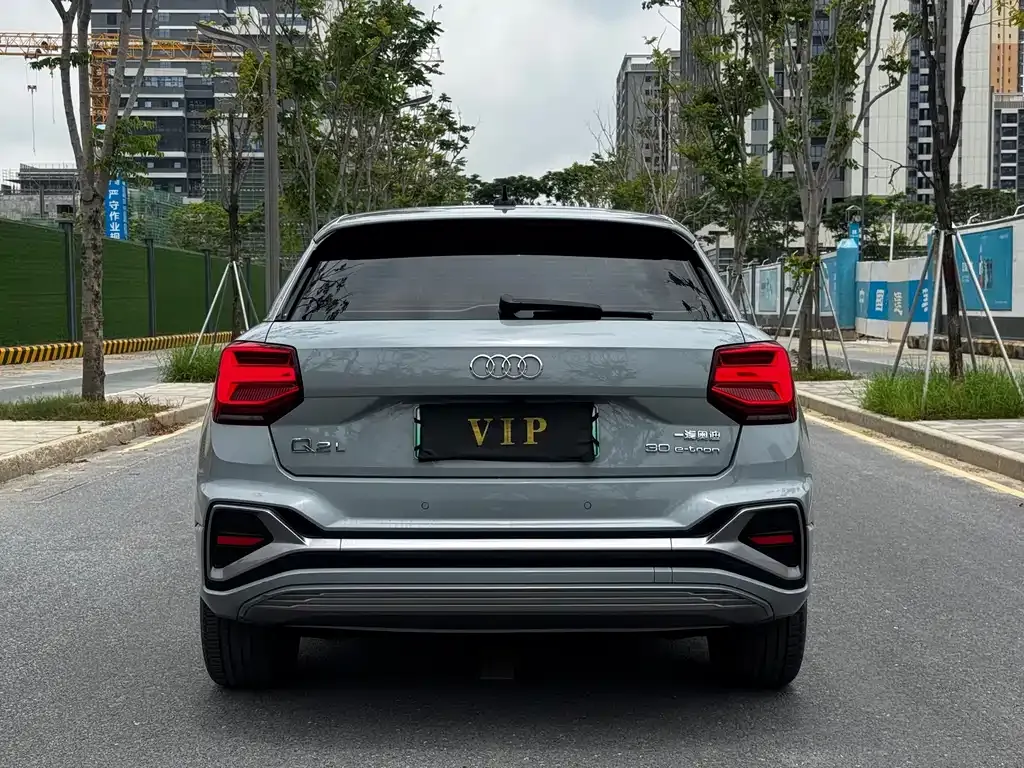 Audi Q2L e-tron 2022 из CN, фото 4