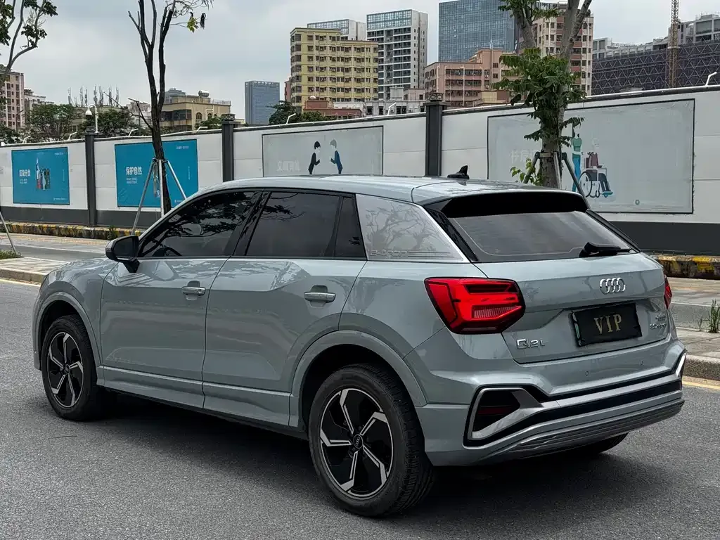 Audi Q2L e-tron 2022 из CN, фото 9
