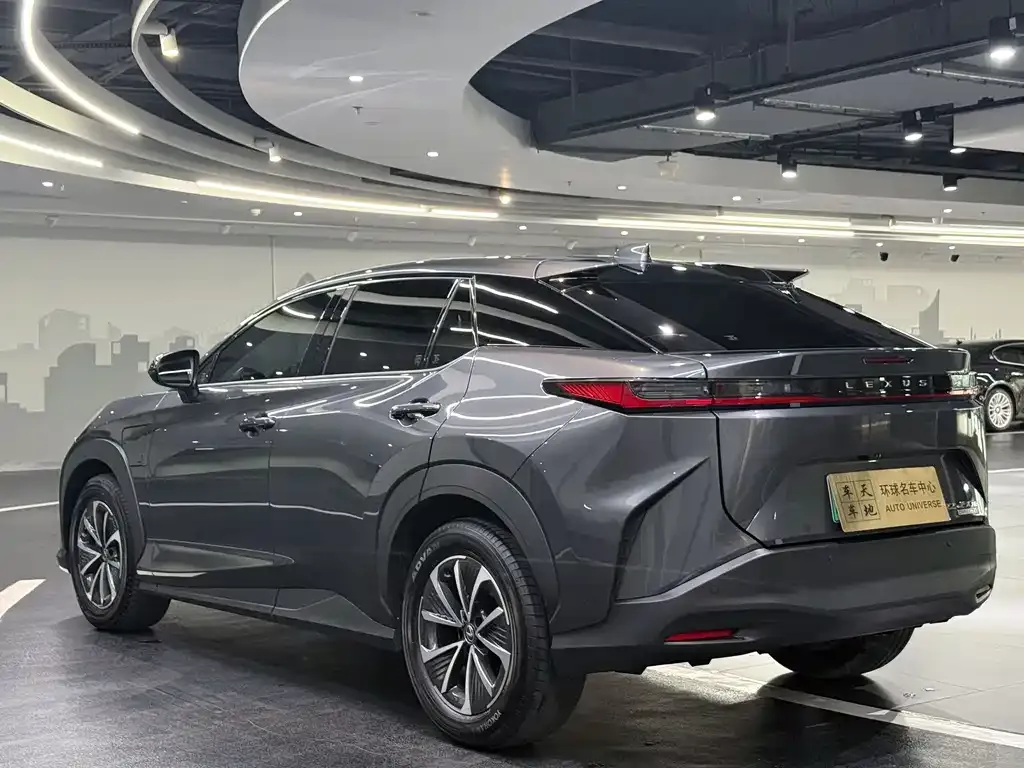 Lexus RZ — фото 7