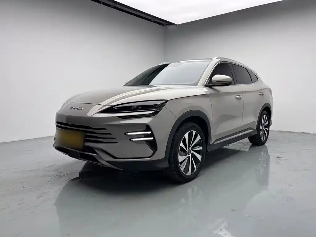BYD PLUS New Energy — фото 9