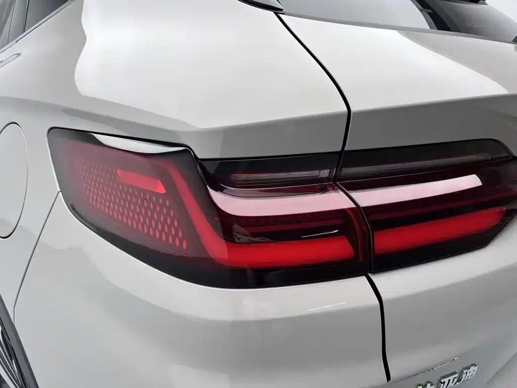 BYD PLUS New Energy — фото 3