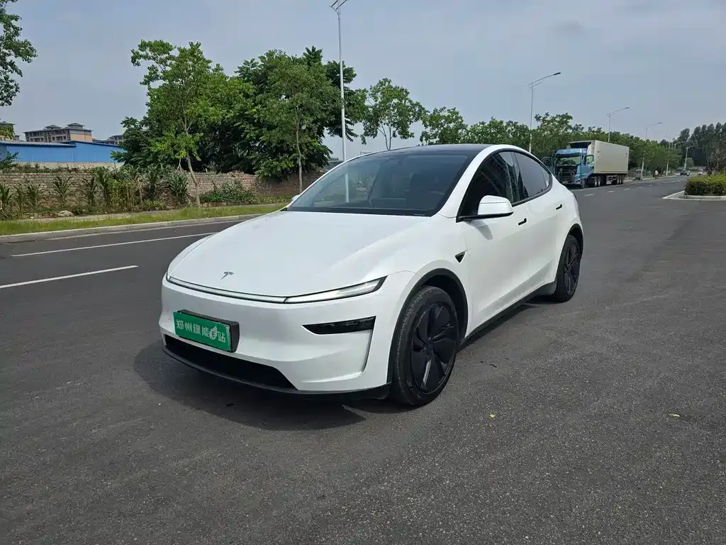 Tesla Model Y — фото 1