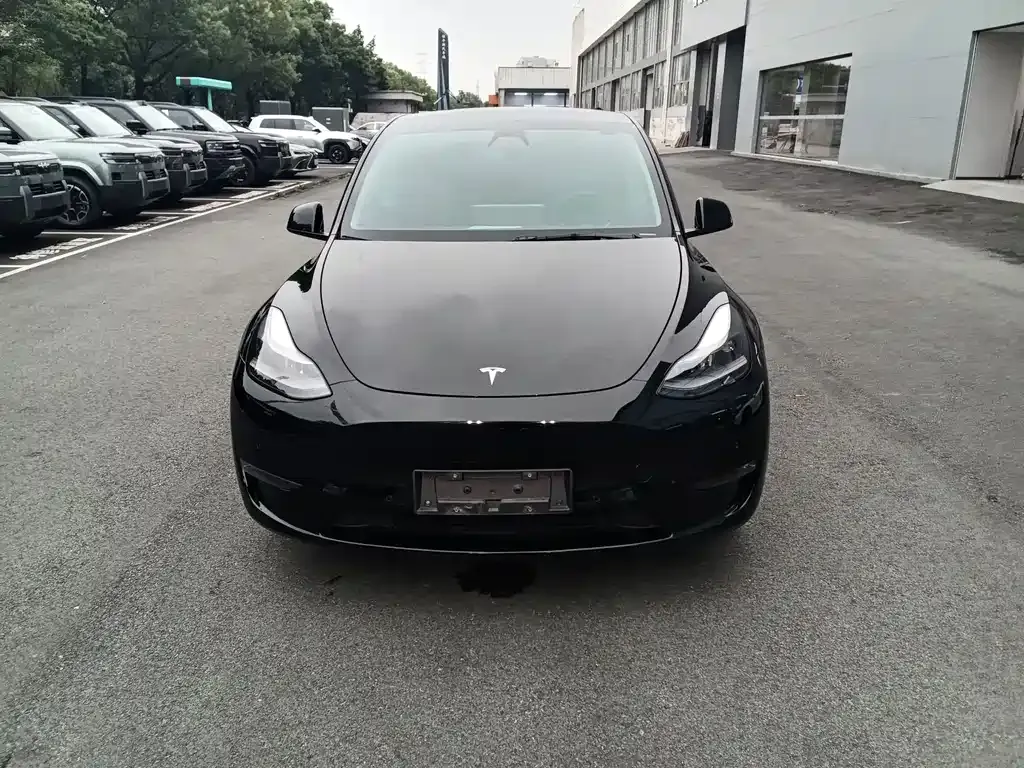 Tesla Model Y — фото 7