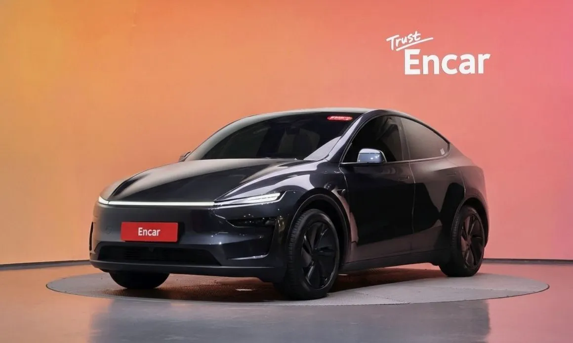Tesla Model Y — фото 1