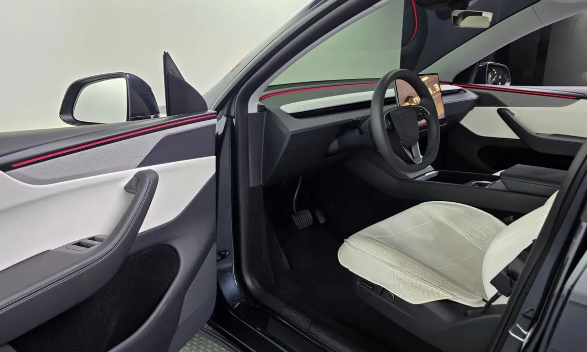 Tesla Model Y — фото 6