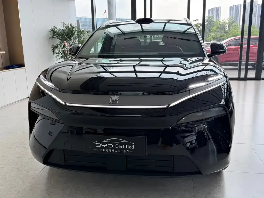 BYD Tang L — фото 2