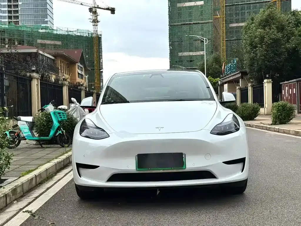 Tesla Model Y — фото 1