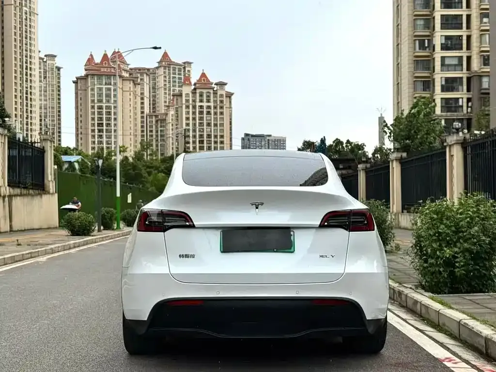 Tesla Model Y — фото 2