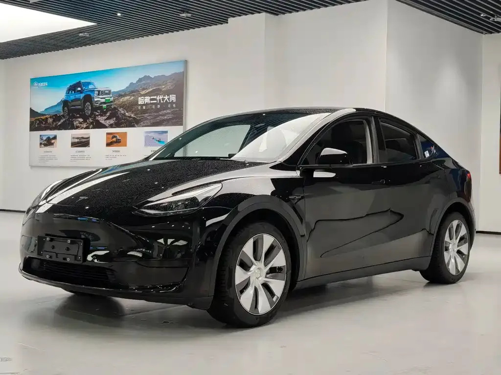 Tesla Model Y — фото 1