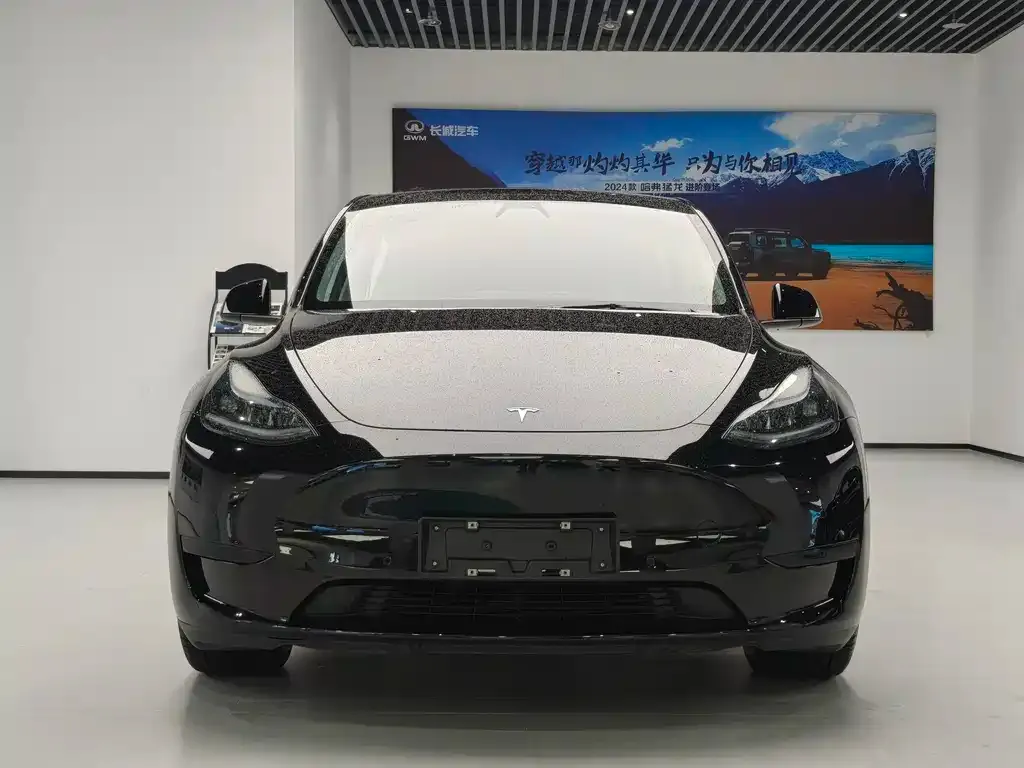 Tesla Model Y — фото 2