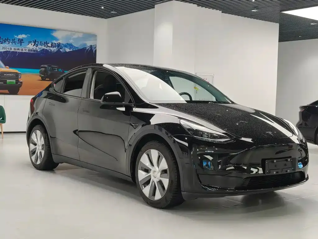 Tesla Model Y — фото 5