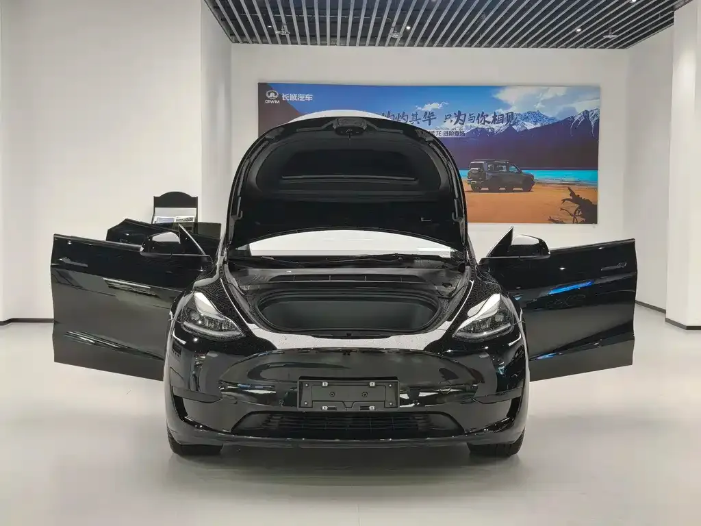 Tesla Model Y — фото 6