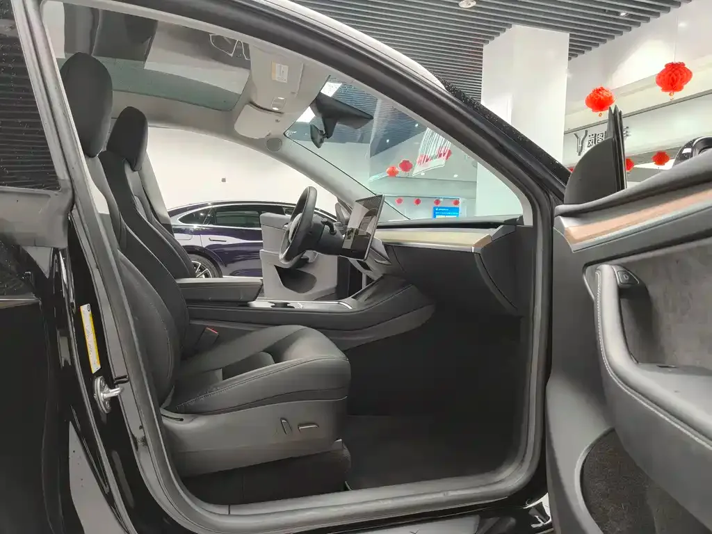 Tesla Model Y — фото 10