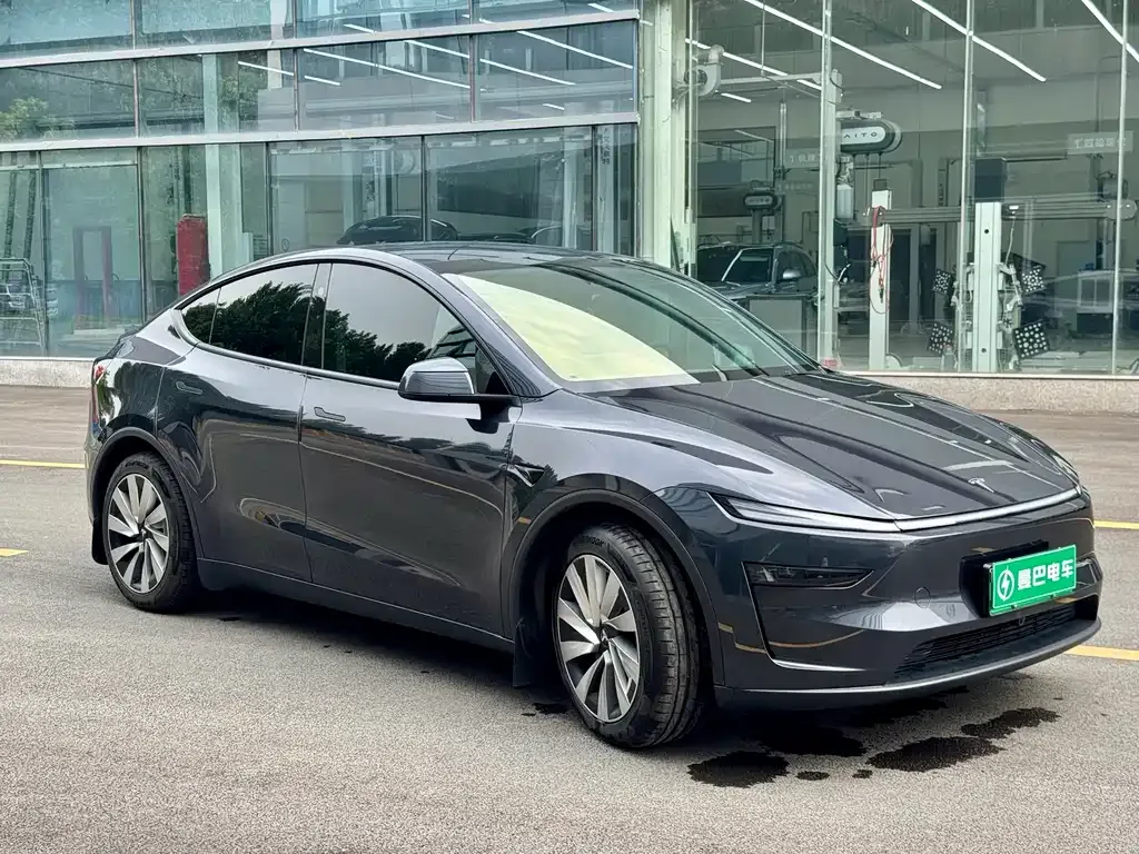 Tesla Model Y — фото 9