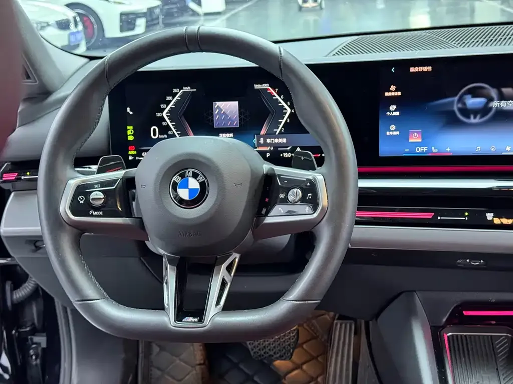 BMW 5 Series 2024 из CN, фото 4