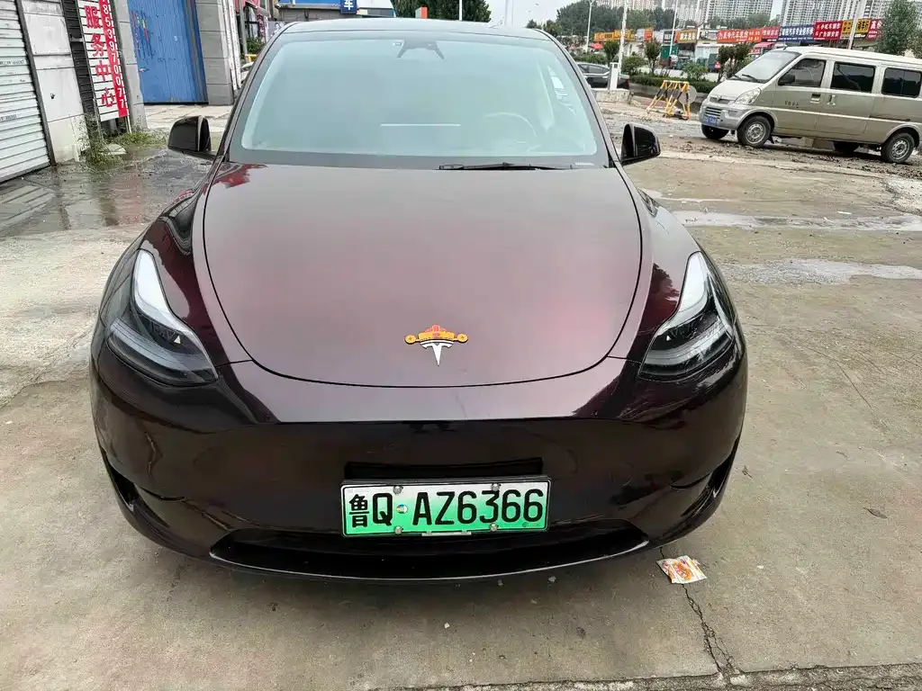 Tesla Model Y — фото 1