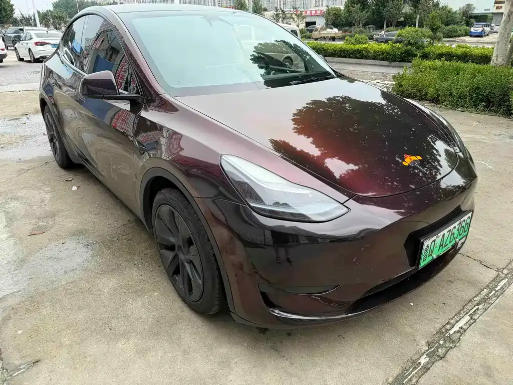 Tesla Model Y — фото 6