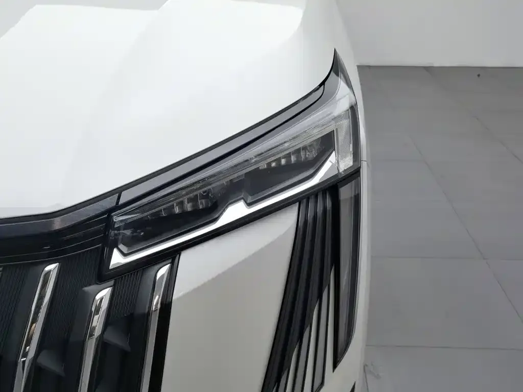 GAC Motor Trumpchi M8 — фото 2