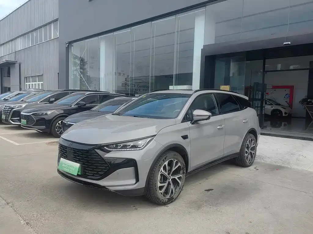 BYD Tang New Energy — фото 1