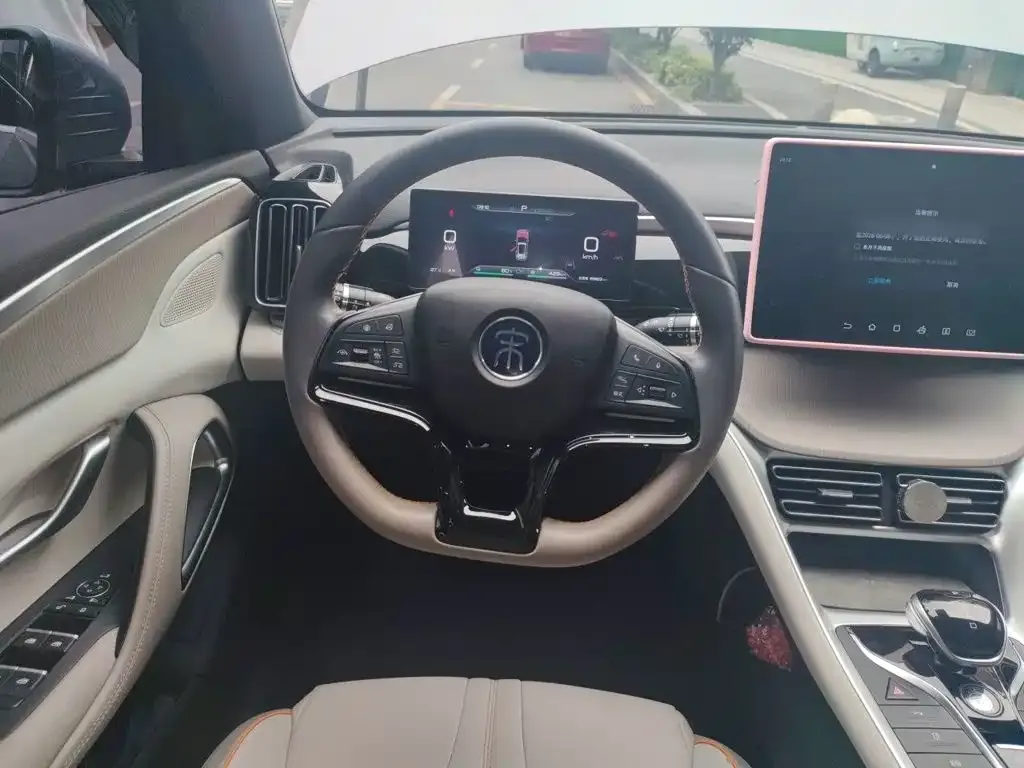 BYD Pro New Energy — фото 6