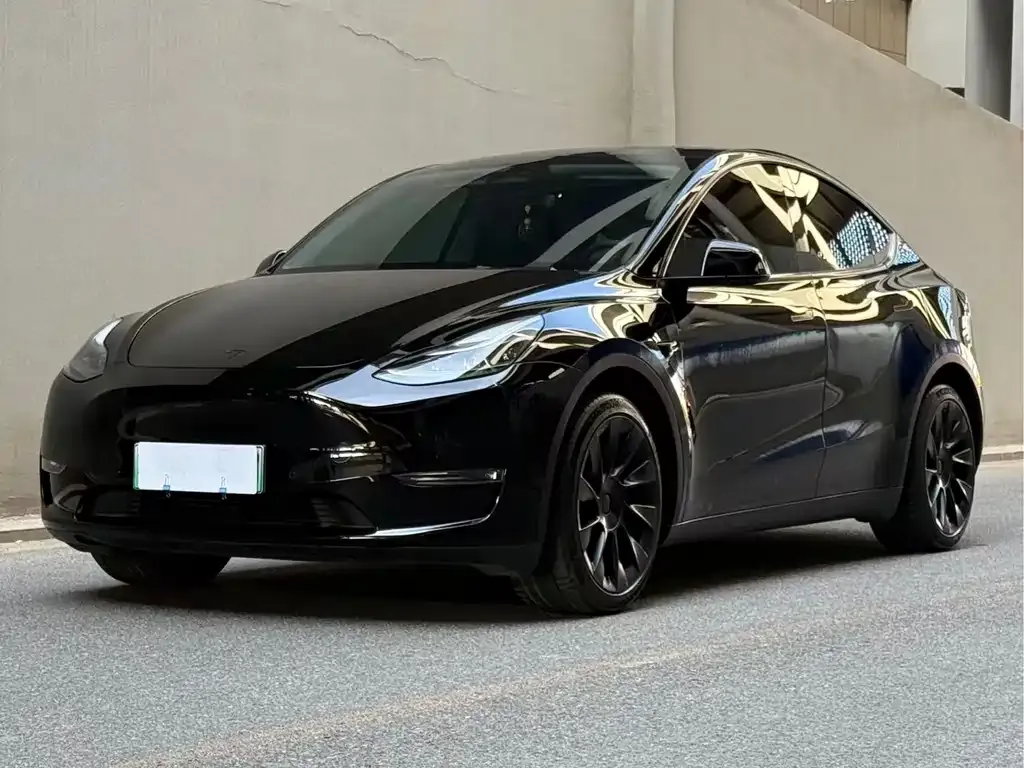 Tesla Model Y — фото 1