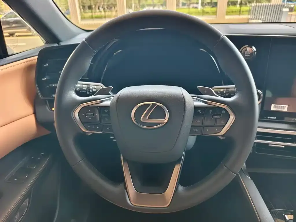 Lexus RX — фото 10