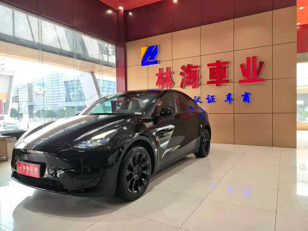 Tesla Model Y — фото 7