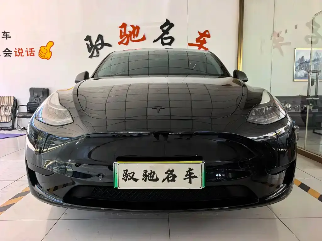 Tesla Model Y — фото 1