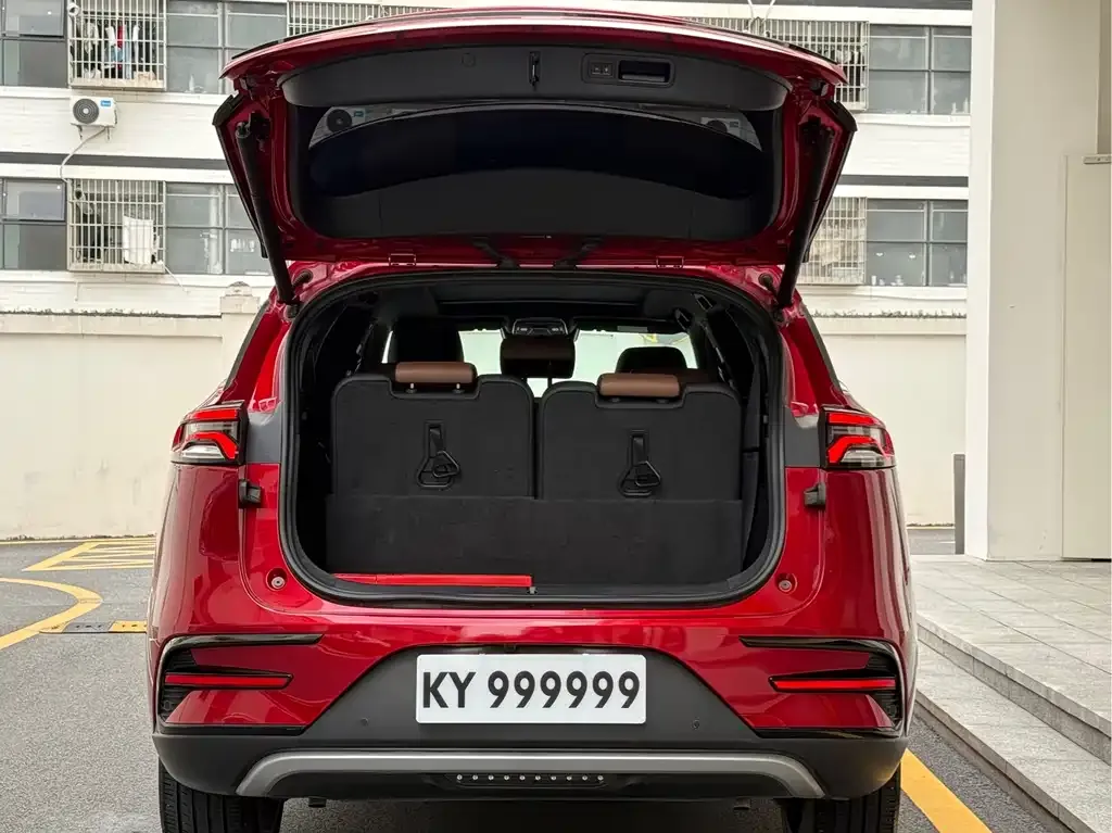BYD Tang New Energy — фото 10