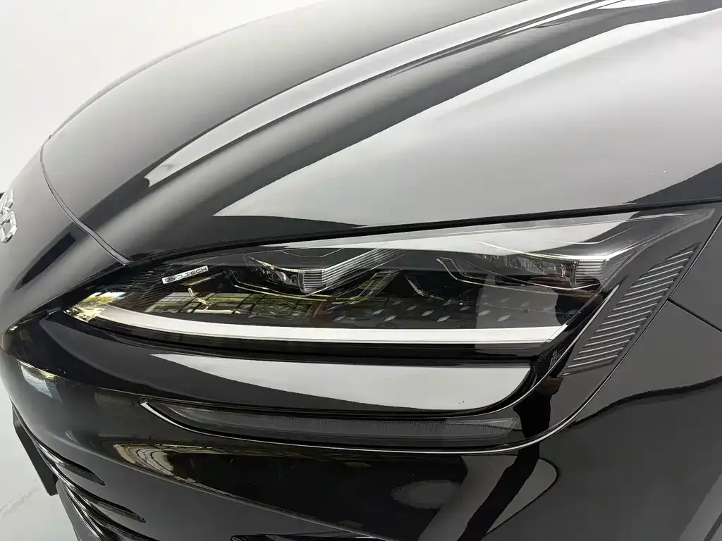 BYD PLUS New Energy — фото 10