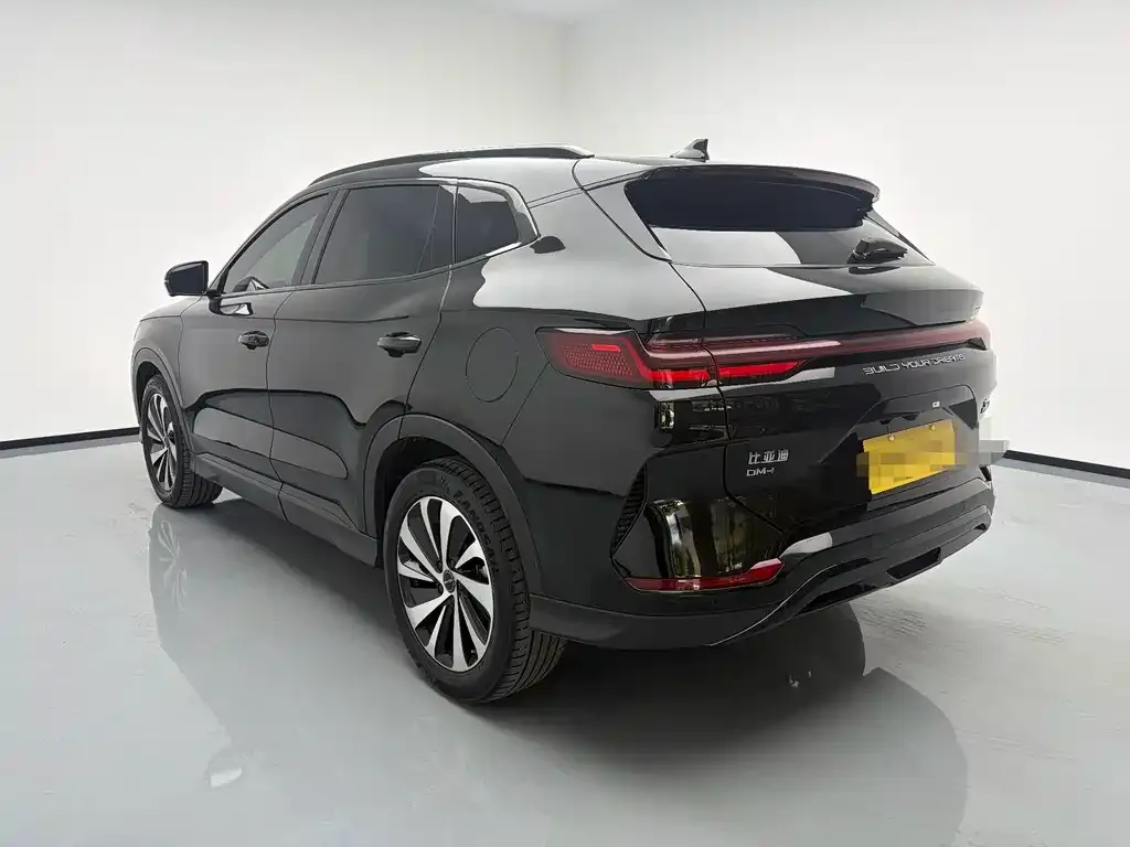 BYD PLUS New Energy — фото 8