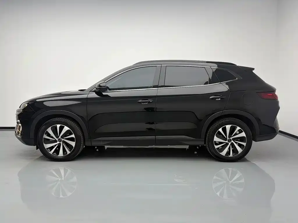 BYD PLUS New Energy — фото 4