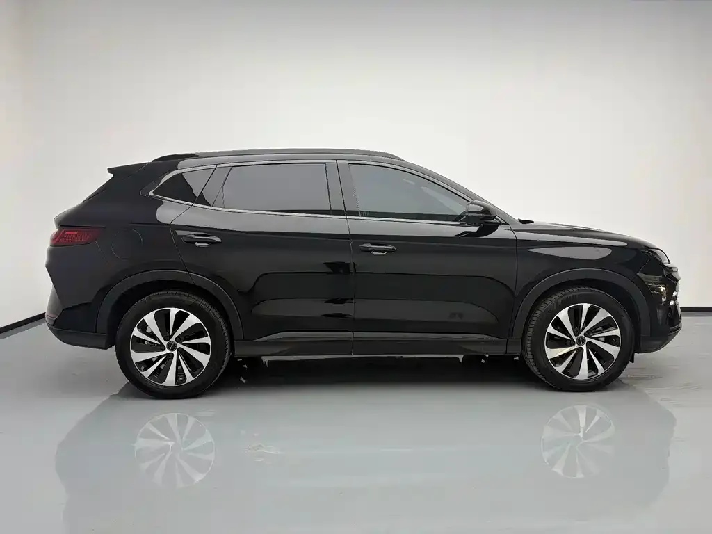 BYD PLUS New Energy — фото 6